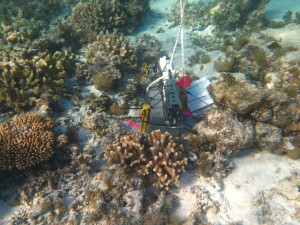 CTD at the inner reef flat site (D.Bender-Champ CC-BY-SA)