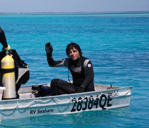 BETO in field