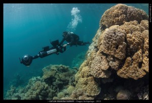 Chagos ben big coral