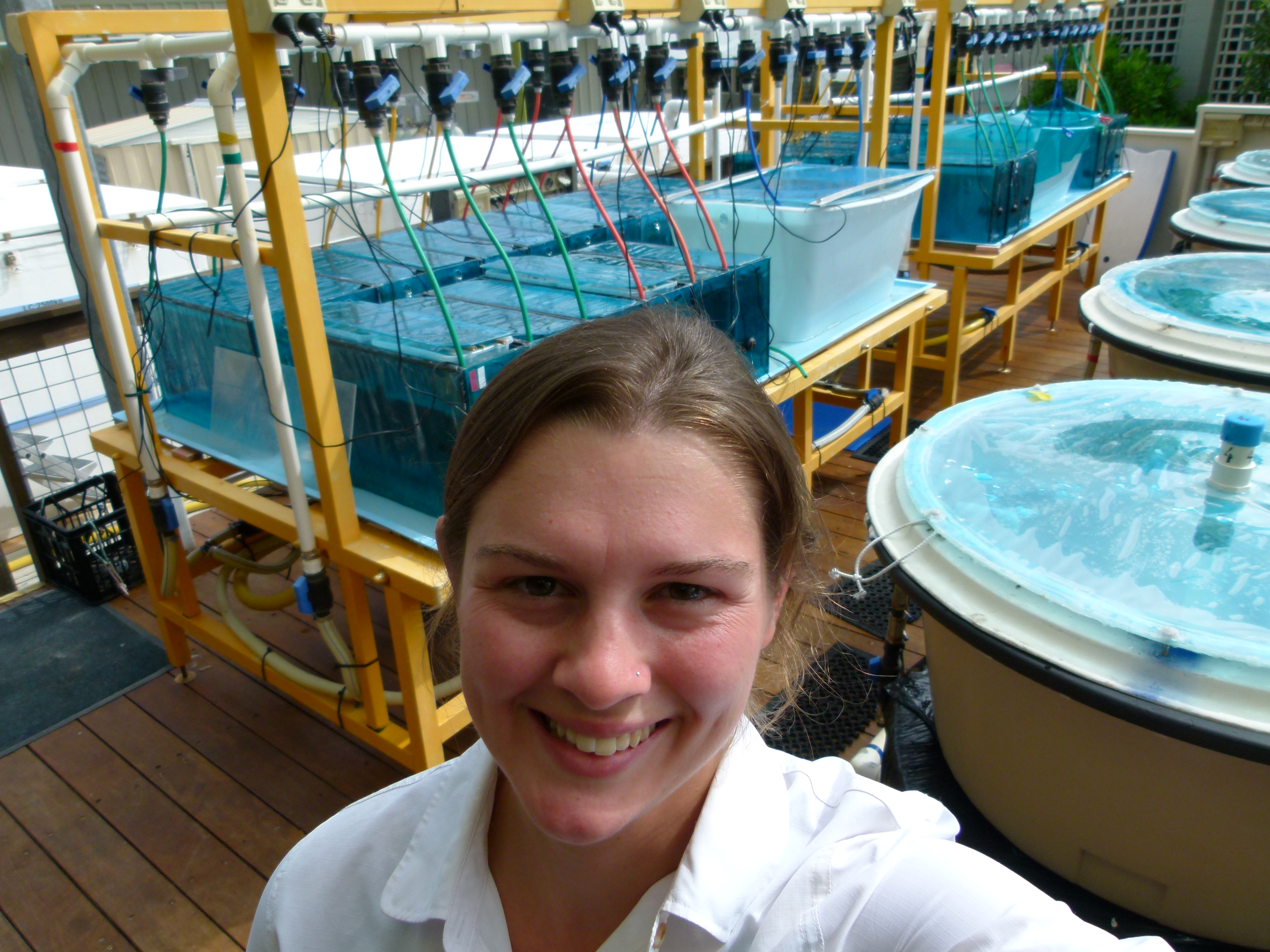 Veronica silesto coral party