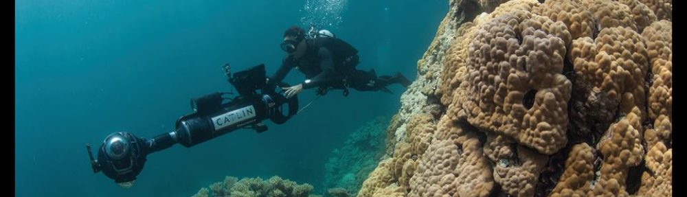 Coral Reef Ecosystems Lab
