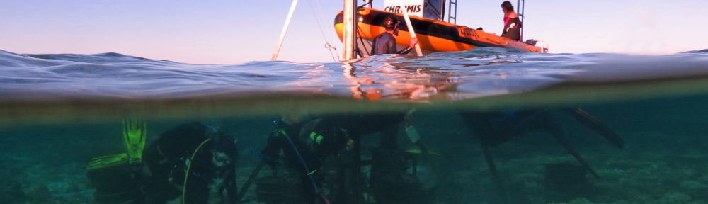 Coral Reef Ecosystems Lab