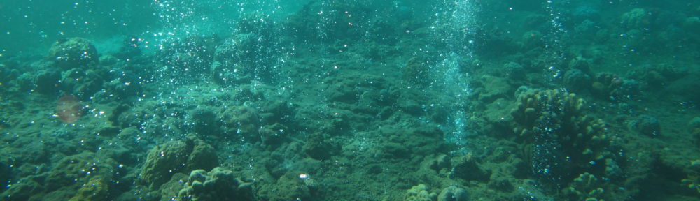 Coral Reef Ecosystems Lab