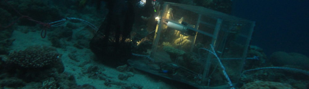 Coral Reef Ecosystems Lab